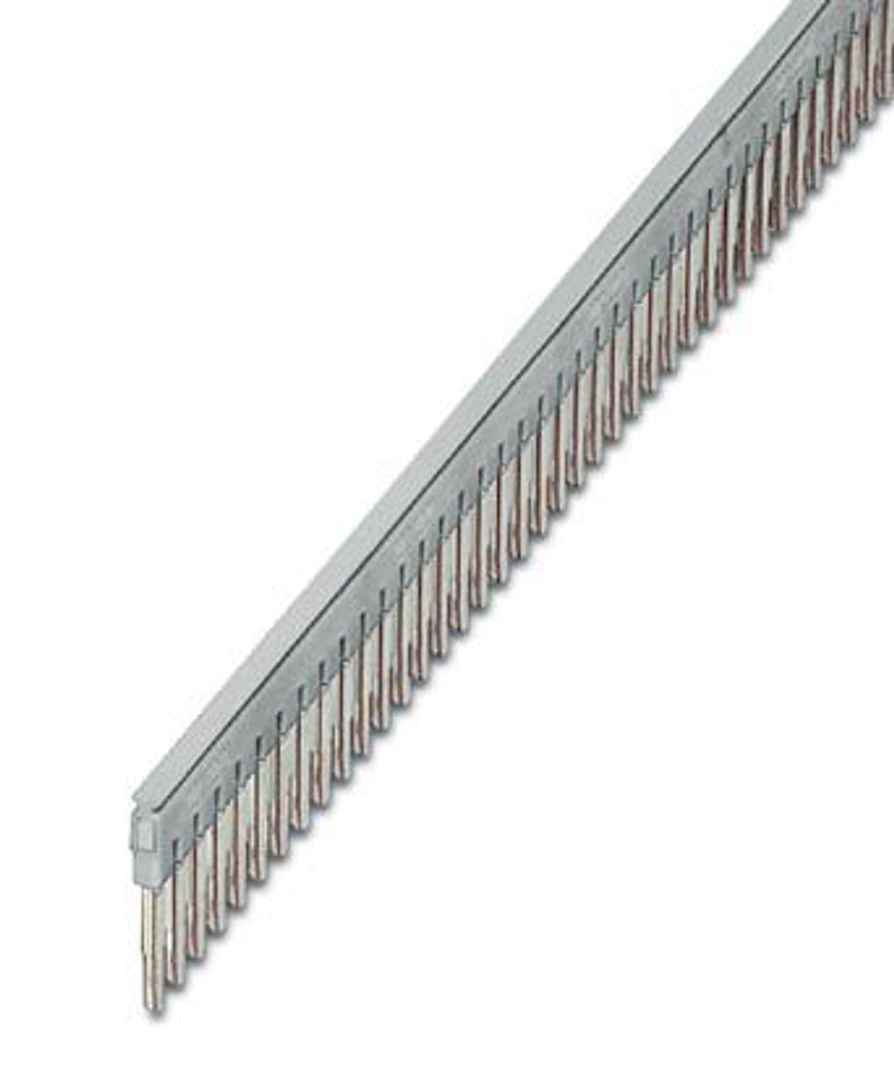 fbs 50-5 gy