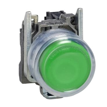 xb4bp31
