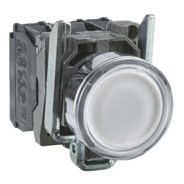 schneider XB4BW11B5