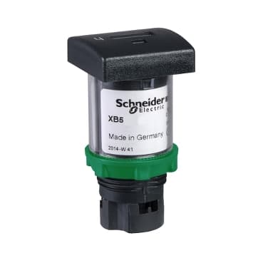 schneider XB5DSG