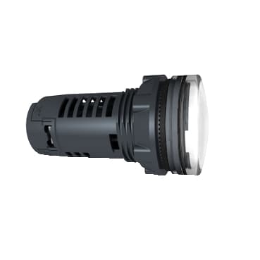 schneider XB5EVG1