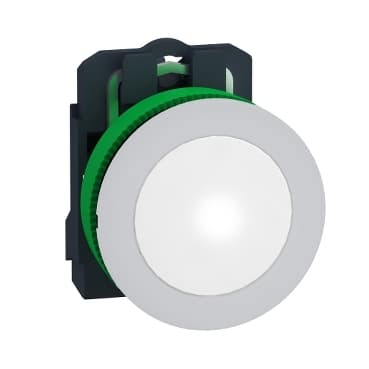 schneider XB5FVG1C1