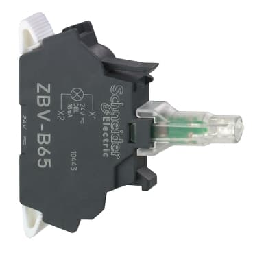 zbvb65