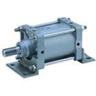 cds2l160-45-a54z-xc3da